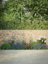 products/SotoHousePartial-3.jpg